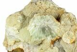 Green, Bladed Prehnite Crystals with Quartz - Morocco #255506-2